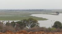 nachmittags nochmal in den Chobe NP
