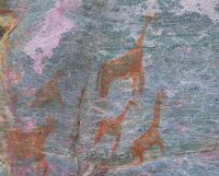 Tsodilo Hills Felszeichnungen