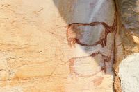 Tsodilo Hills Felszeichnungen