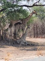 010 Unterwegs nach Nata