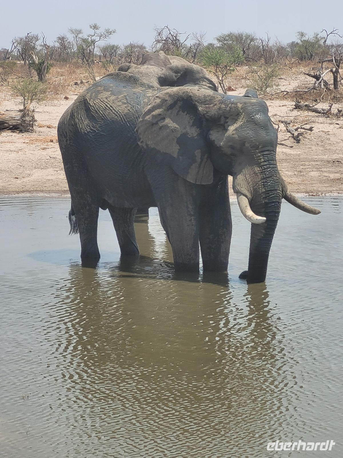 013 Unterwegs nach Nata