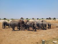 014 Unterwegs nach Nata