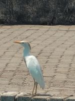 015 Unterwegs nach Nata