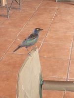 016 Unterwegs nach Nata