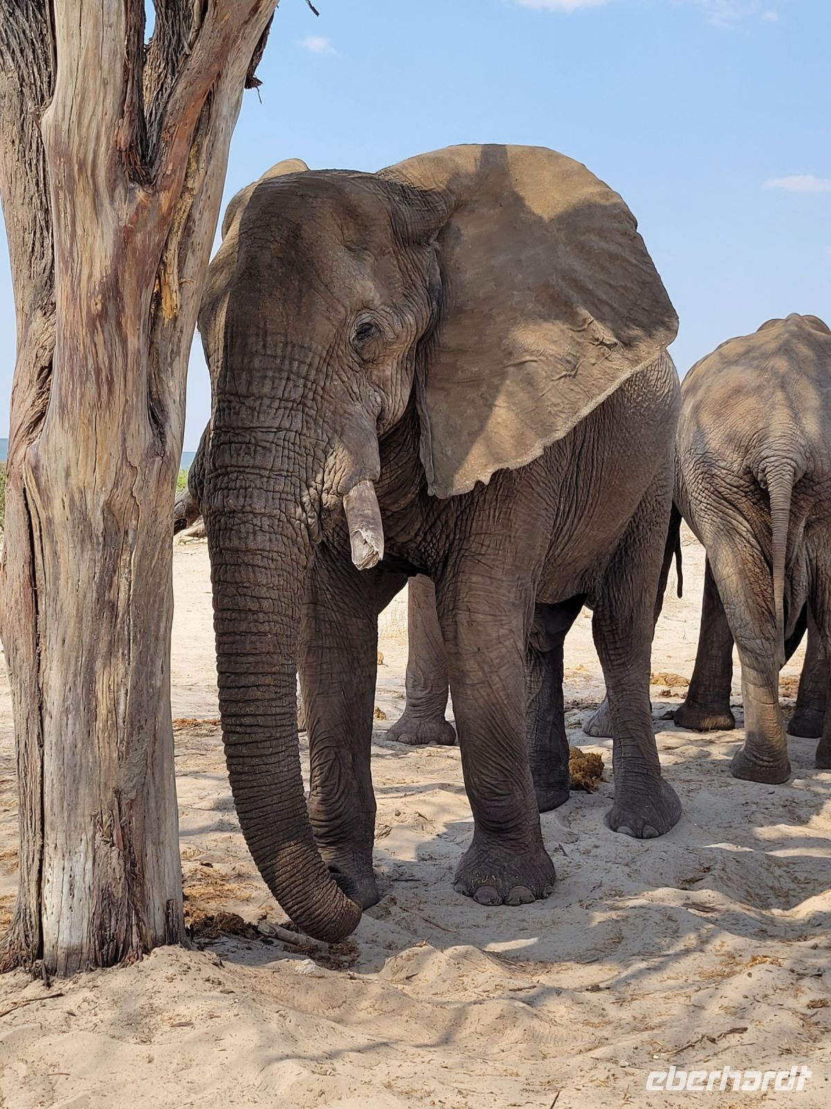 017 Unterwegs nach Nata