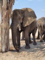 017 Unterwegs nach Nata