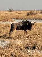 021 Salzpfannen bei Nata