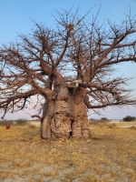 023 Salzpfannen bei Nata