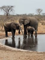 032 Unterwegs nach Maun