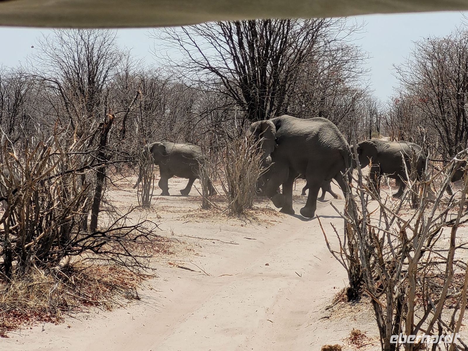 039 Unterwegs zur Shokomoka Lodge