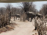 039 Unterwegs zur Shokomoka Lodge