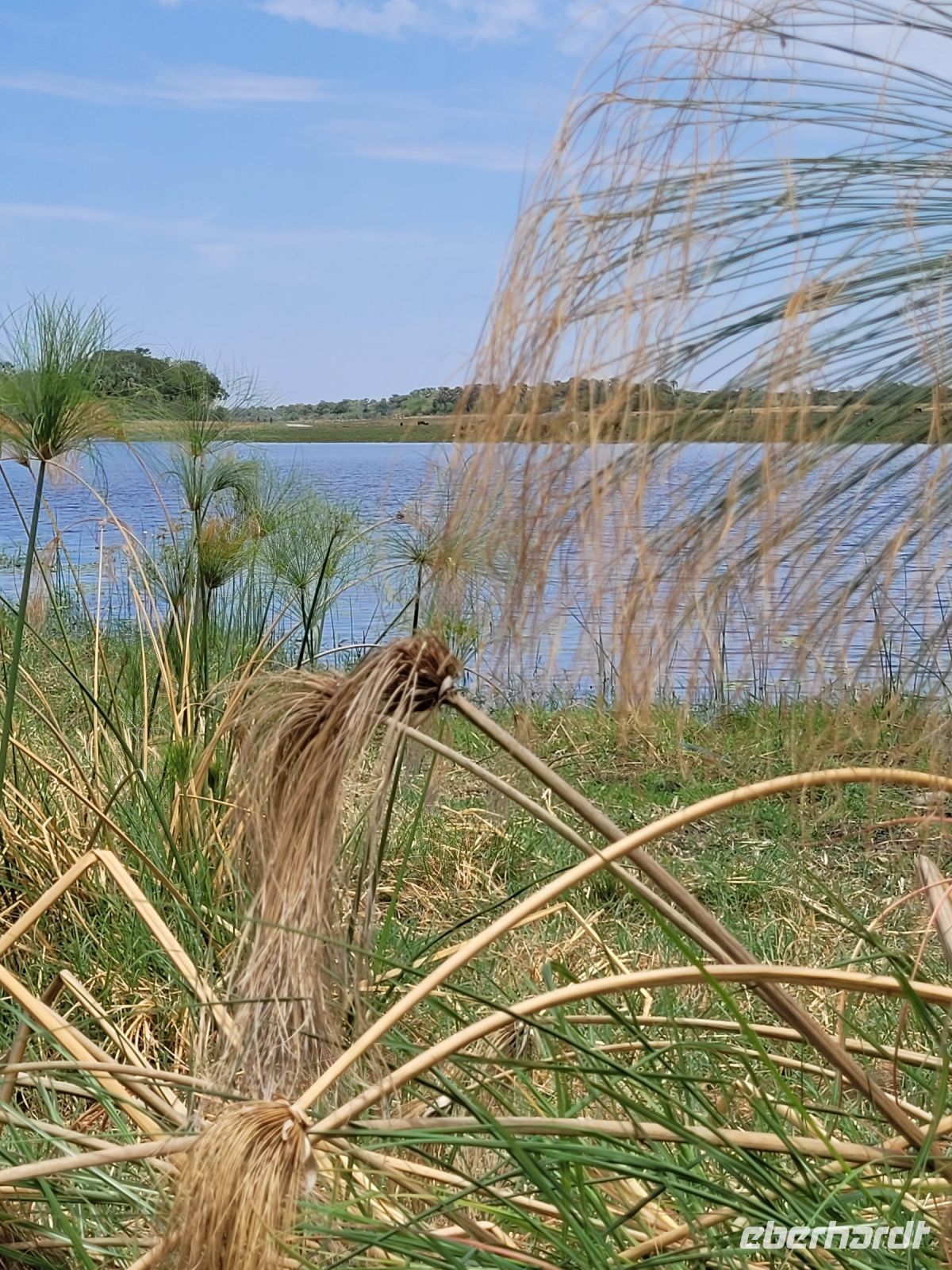 063 Thamalakane River Lodge