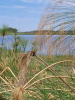 063 Thamalakane River Lodge