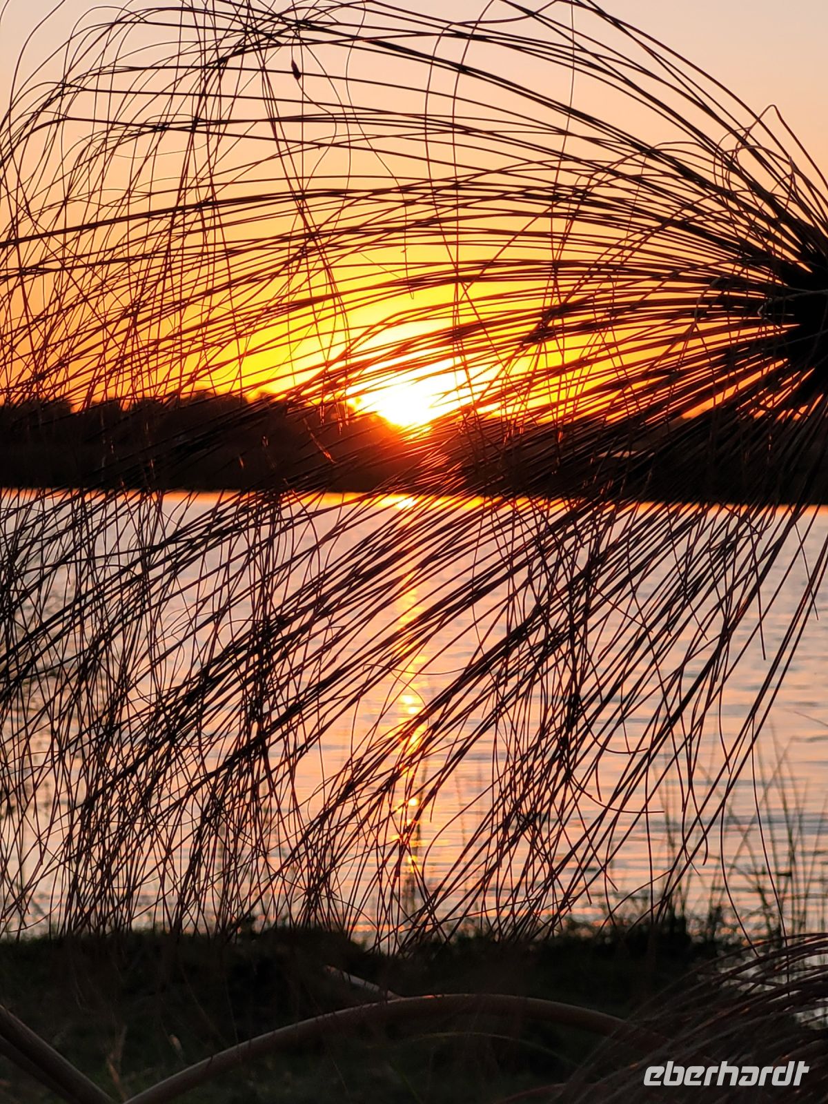 066 Thamalakane River Lodge