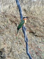 074 Bootsfahrt auf dem Okavango