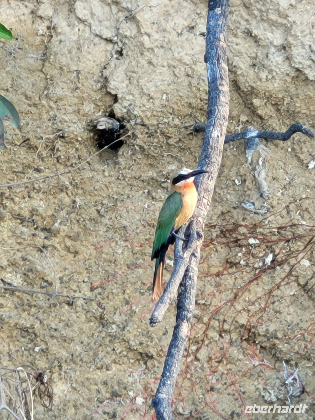 075 Bootsfahrt auf dem Okavango