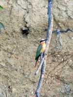 075 Bootsfahrt auf dem Okavango