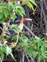 076 Bootsfahrt auf dem Okavango
