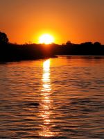 087 Bootsfahrt auf dem Okavango