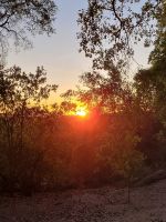 088 Sonnenaufgang Shakawe River Lodge