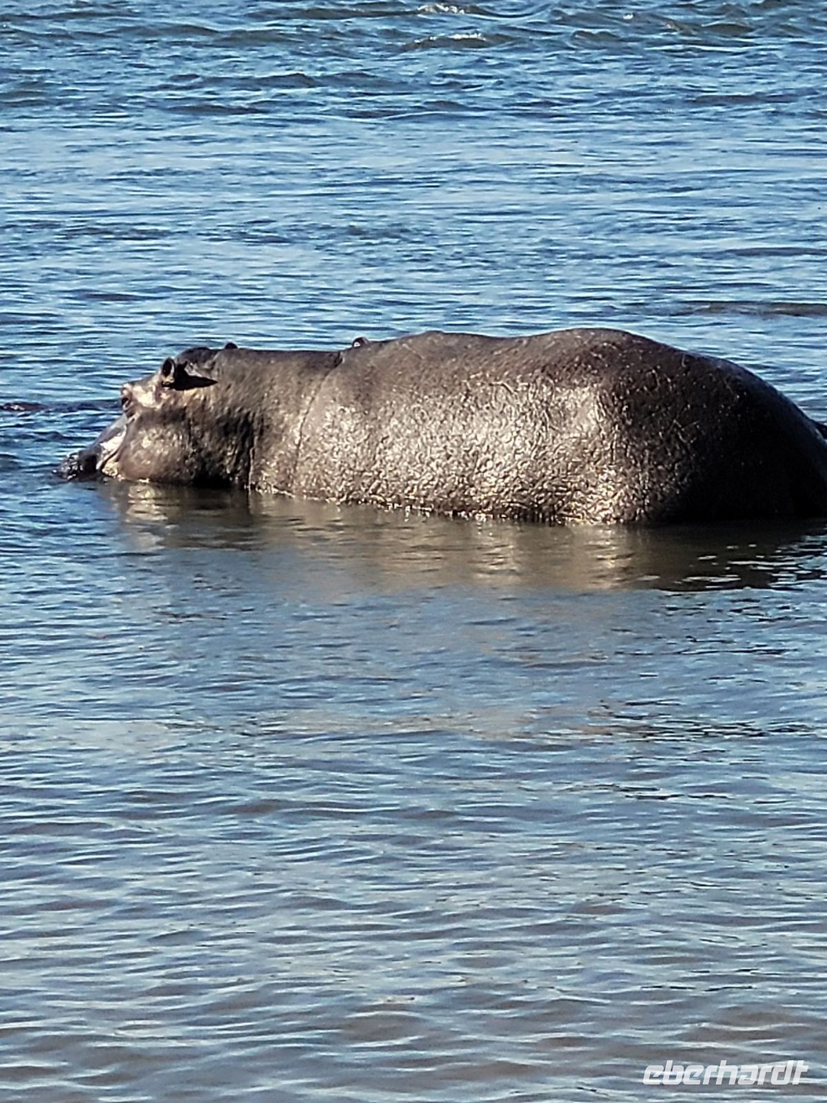 112 Bootstour auf dem Kavango