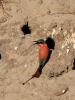 113 Bootstour auf dem Kavango