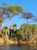 116 Bootstour auf dem Kavango