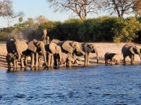 117 Bootstour auf dem Kavango