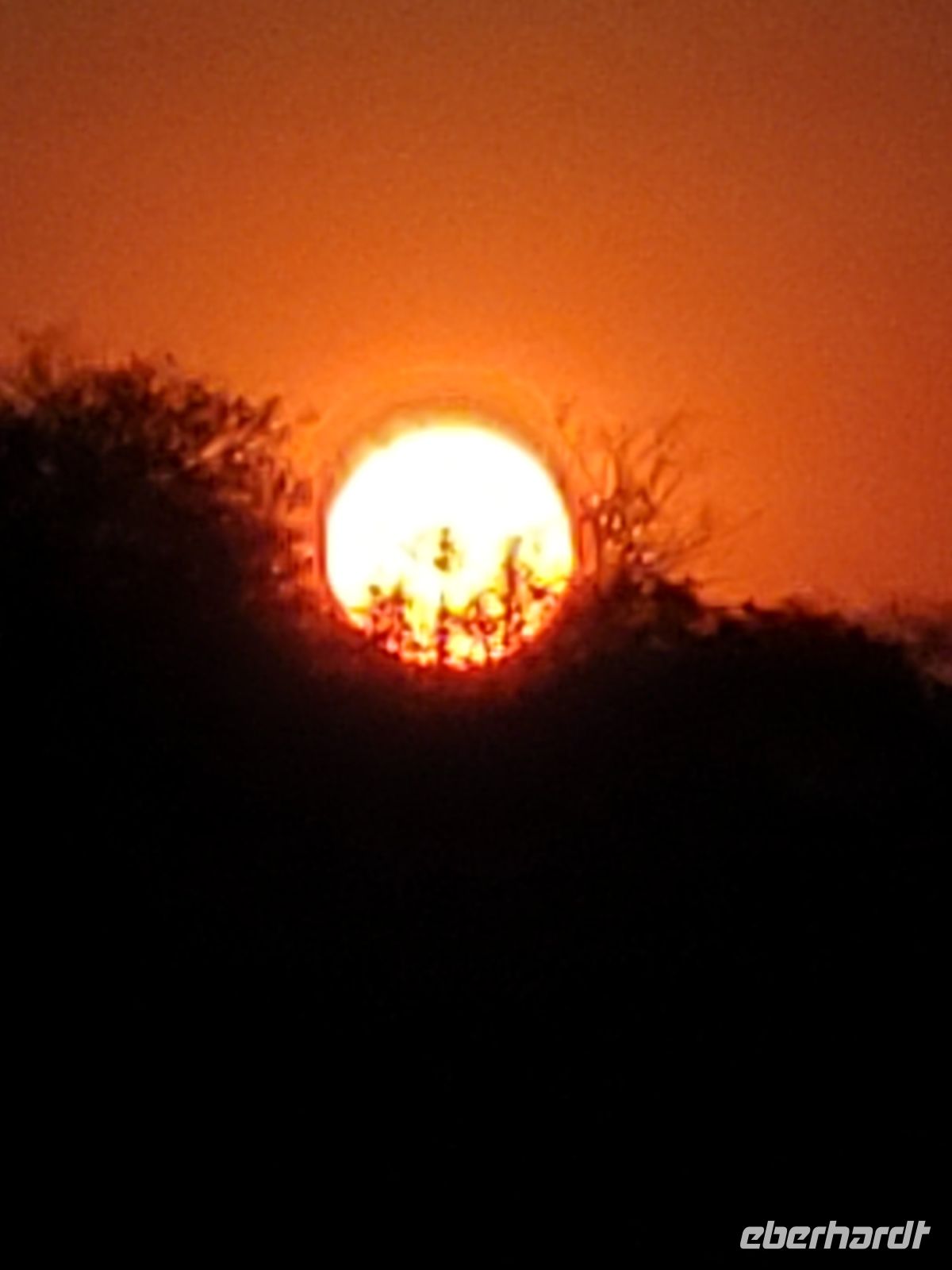 119 Bootstour auf dem Kavango