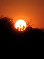 119 Bootstour auf dem Kavango