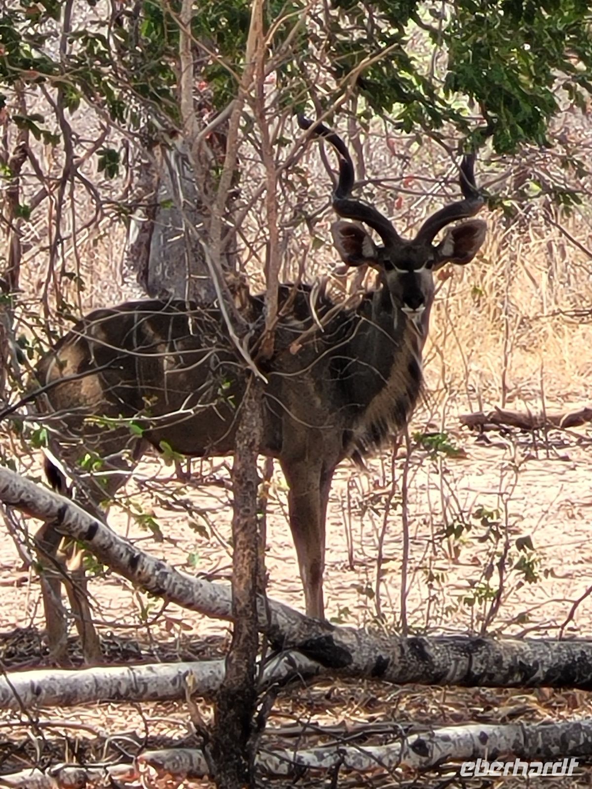 126 Unterwegs zur Namushasha Lodge