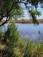 129 Unterwegs zur Namushasha Lodge