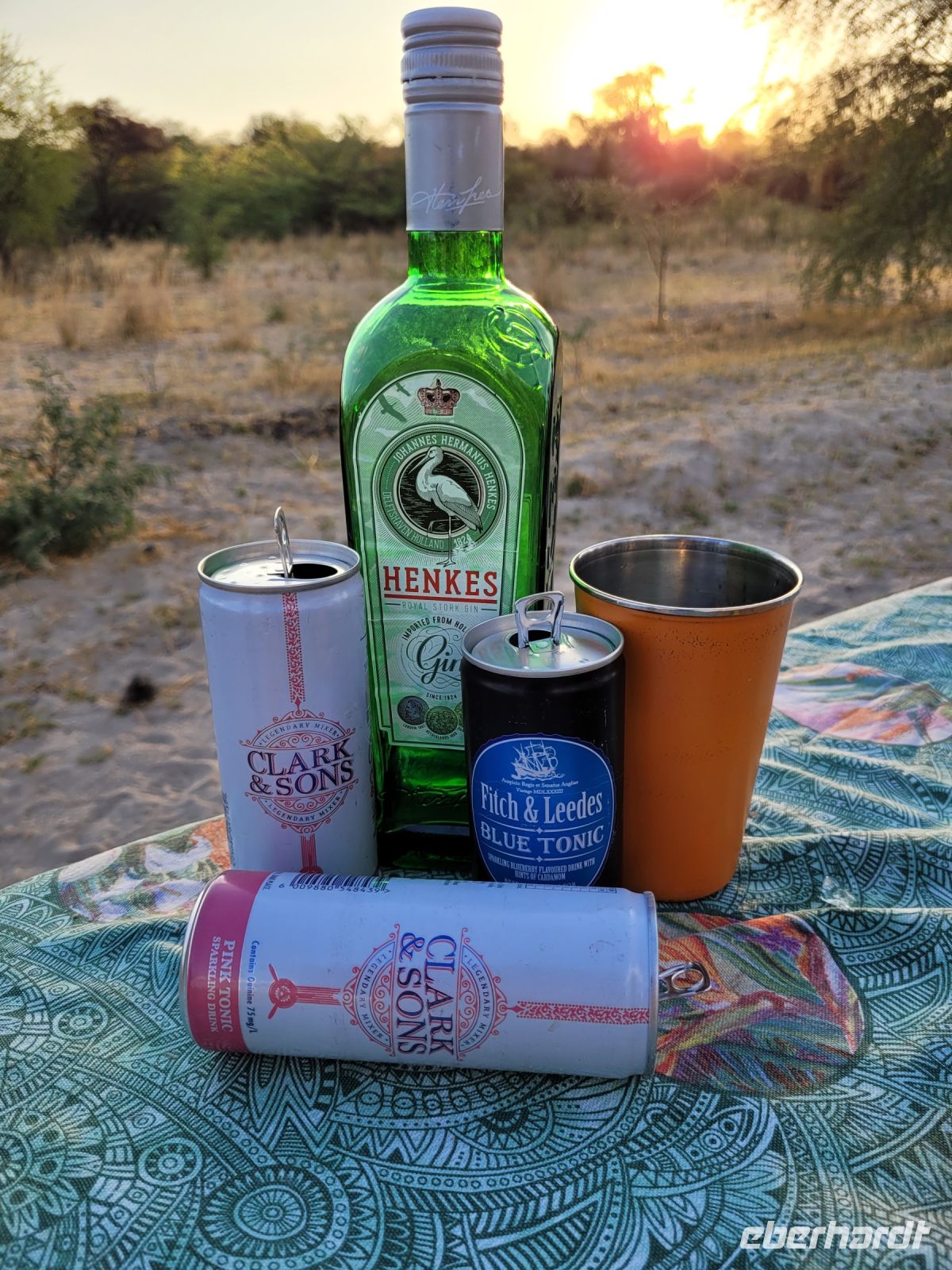 133 Gin Tonic Sundowner