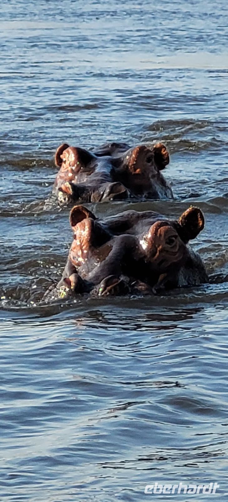 137 Jeepsafari im Bwabwata NP