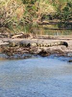 138 Jeepsafari im Bwabwata NP