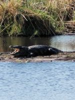 141 Jeepsafari im Bwabwata NP