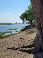 144 Jeepsafari im Bwabwata NP