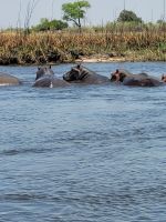 152 Jeepsafari im Bwabwata NP