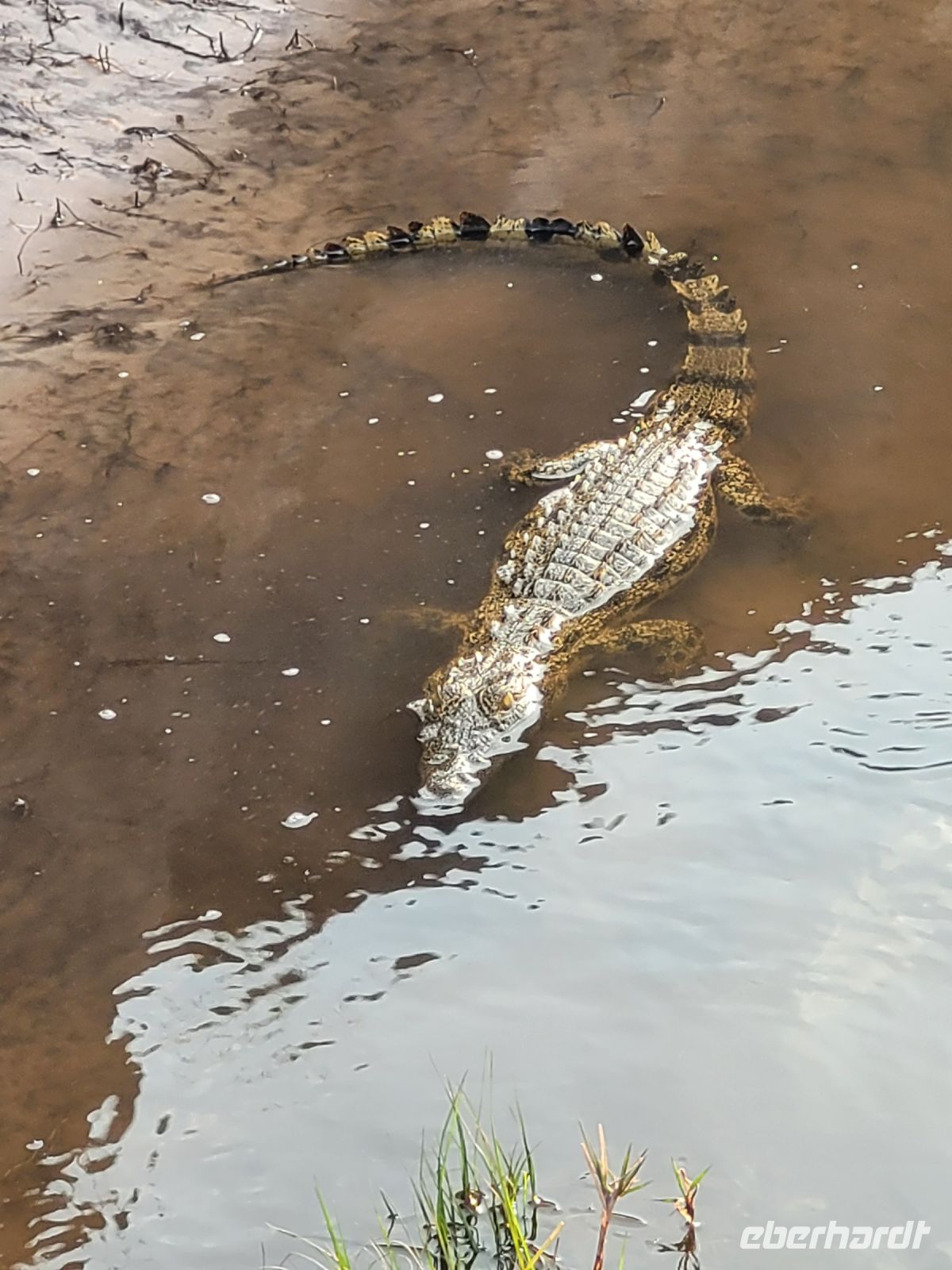 157 Bootstour im Bwabwata NP