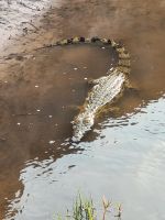 157 Bootstour im Bwabwata NP