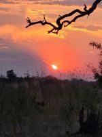 160 Bootstour im Bwabwata NP