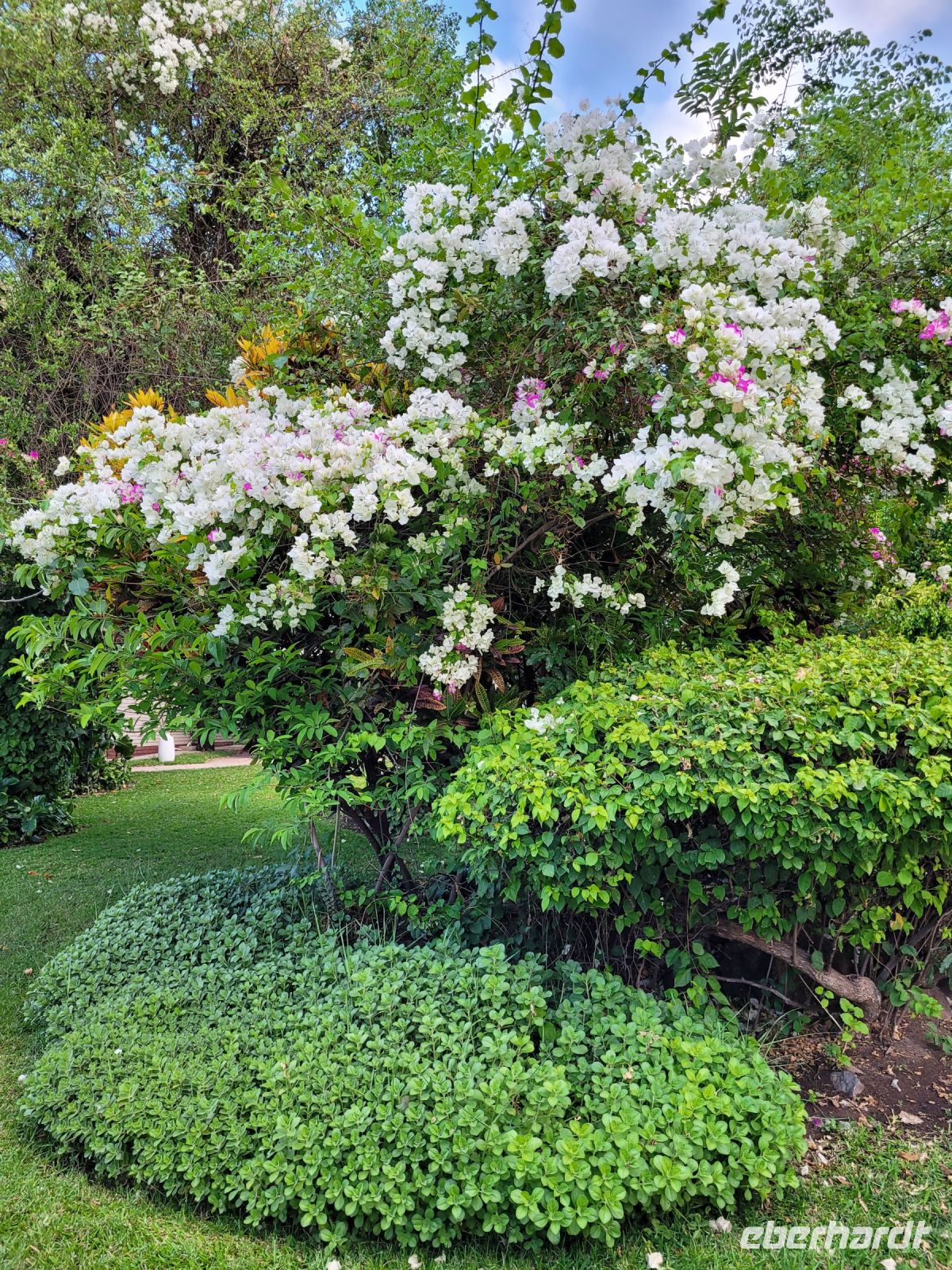 170 River View Lodge