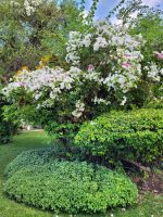 170 River View Lodge