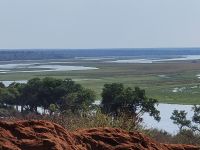 196 Bootstour auf dem Chobe