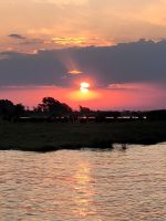 208 Bootstour auf dem Chobe