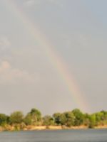 223 Bootstour auf dem Sambesi