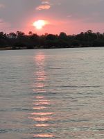 226 Bootstour auf dem Sambesi