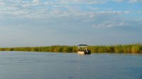 Botswana - Shakawe - Bootsfahrt