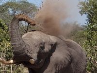 Botswana - auf dem Weg nach Maun