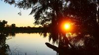 Namibia - Ndhovu River Lodge - Sonnenaufgang am Okavango
